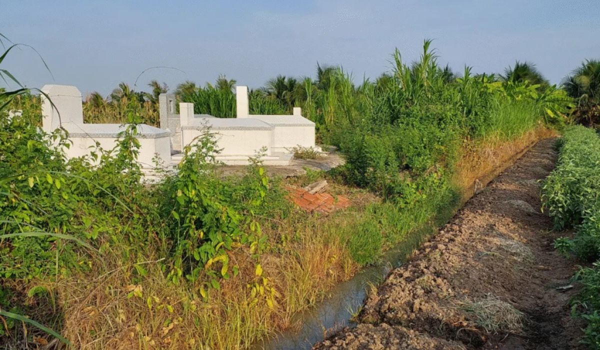 Mặt tiền lô đất sổ hồng chính chủ An Thạnh Thủy rộng 660m², cây cối xanh tốt, có khu mộ của chủ khác.